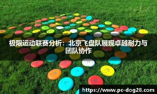 极限运动联赛分析：北京飞盘队展现卓越耐力与团队协作